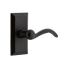 Ageless Iron Vale  - Rustic Cast Iron Right Handed Privacy Door Lever Set with Tine Lever and 2-3/8" Backset Black Iron