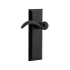 Ageless Iron Keep - Rustic Cast Iron Left Handed Privacy Door Lever Set with Tine Lever and 2-3/8" Backset Black Iron