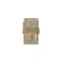 Allegri Glacier 2 Light 12" Tall ADA LED Wall Sconce Brushed Champagne Gold