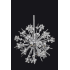 Allegri Shorecrest 10 Light 19" Wide Crystal Multi Light Pendant Chrome / Clear Firenze