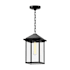 Alora Lighting Larchmont 8" Wide Outdoor Mini Pendant with Clear Glass Shade Black Textured