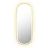 Altair Cellini 25-5/8"W x 65"H Oval Flat Aluminum Framed Full Length Mirror Brushed Gold