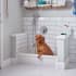 American Standard-MSB3624-Dog Bath Time