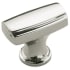 Polished Nickel