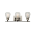 Artcraft Lighting Nelson 3 Light 22" Wide Vanity Light Black / Brushed Nickel