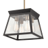 Artcraft Lighting Lucian 4 Light 12" Wide Pendant Black / Brushed Brass