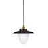 Artcraft Lighting Dahlia 3 Light 20" Wide Pendant Black / Brushed Brass