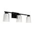 Artcraft Lighting Dalton 3 Light 24" Wide Vanity Light Black / Clear