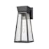 Artcraft Lighting Lucian 17" Tall Outdoor Wall Sconce Black / Clear