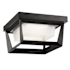 Artcraft Lighting Waterbury 10" Wide LED Flush Mount Outdoor Ceiling Fixture Black