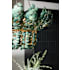 Application Image
