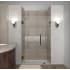 Aston Nautis GS 38" Wide x 72" High Frameless Hinged Shower Door with Clear Glass and Glass Shelves Bronze
