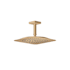 Axor Citterio C 2.5 GPM Single Function Rain Shower Head with PowderRain and Included Ceiling Shower Arm Brushed Bronze
