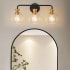 Bellevue Irvine 3 Light 22" Wide Vanity Light Black