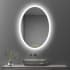 Bellevue Zachary 24" W x 32" H Contemporary Oval Aluminum Frameless Bathroom Wall Mirror with LED Lighting N/A