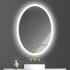 Bellevue Zachary 20" W x 28" H Contemporary Oval Aluminum Frameless Bathroom Wall Mirror with LED Lighting N/A