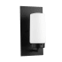 Bellevue Conduit 14" Tall Outdoor Wall Sconce Black
