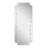 Bellevue 72" x 30" Rectangular Beveled Frameless Accent Mirror Champagne