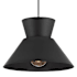 Bellevue 12" Wide Pendant Matte Black