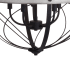 Alternate View
