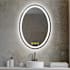 Brio Lighting Hayden 20" W x 28" H Contemporary Oval Aluminum Frameless Bathroom Wall Mirror with LED Lighting N/A