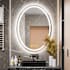 Brio Lighting Hayden 24" W x 32" H Contemporary Oval Aluminum Frameless Bathroom Wall Mirror with LED Lighting N/A