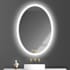 Brio Lighting Zachary 20" W x 28" H Contemporary Oval Aluminum Frameless Bathroom Wall Mirror with LED Lighting N/A