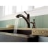 Running Faucet with Soap Dispenser in Oil Rubbed Bronze