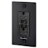 Buster + Punch 15 Ampere GFCI Electrical Outlet with Logo Black