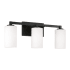 Capital Lighting Ravenwood 3 Light 23" Wide Vanity Light Black Iron