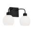 Capital Lighting Tanner 2 Light 15" Wide Vanity Light Matte Black