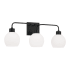 Capital Lighting Tanner 3 Light 25" Wide Vanity Light Matte Black