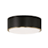 Capital Lighting Carlton 16" Wide Flush Mount Ceiling Fixture Matte Brass / Black
