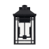 Capital Lighting Braden 2 Light 17" Tall Outdoor Wall Sconce Black