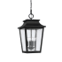 Capital Lighting Chandler 4 Light 12" Wide Outdoor Pendant Black