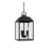 Capital Lighting Nelson 3 Light 10" Wide Outdoor Mini Pendant Black