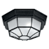 Capital Lighting Outdoor 2 Light 11" Wide Outdoor Flush Mount Drum Ceiling Fixture Black