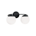 Capital Lighting Oliver 2 Light 17" Wide Vanity Light Matte Black