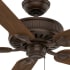 Casablanca-AINSWORTH 60-Close Up-1