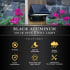 Infographic