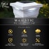 Infographic