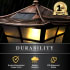 Infographic