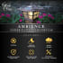 Infographic