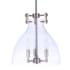 Craftmade Chardonnay 3 Light 14" Wide Pendant with Clear Glass Shade Brushed Polished Nickel