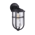 Craftmade Voyage 19" Tall Outdoor Wall Sconce with Seedy Glass Shade Midnight