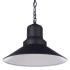 Craftmade Singleton 14" Wide Pendant Midnight