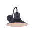 Craftmade Singleton 13" Tall Wall Sconce Midnight