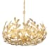 Crystorama Lighting Group Broche 5 Light 23" Wide Taper Candle Style Chandelier Antique Gold