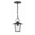 Crystorama Lighting Group Andover 9" Wide Lantern Outdoor Chandelier Matte Black