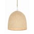 Crystorama Lighting Group Jasper 3 Light 16" Wide Pendant Matte White